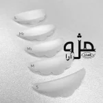 بیگودی صدفی